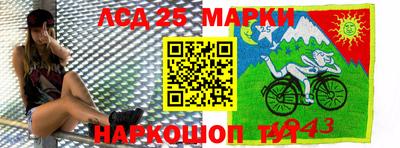 амф Кимры