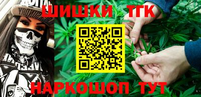 молекула духа Кингисепп